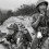 Sino-Vietnamese War