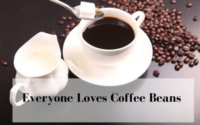 Everyone Loves Coffee Beans