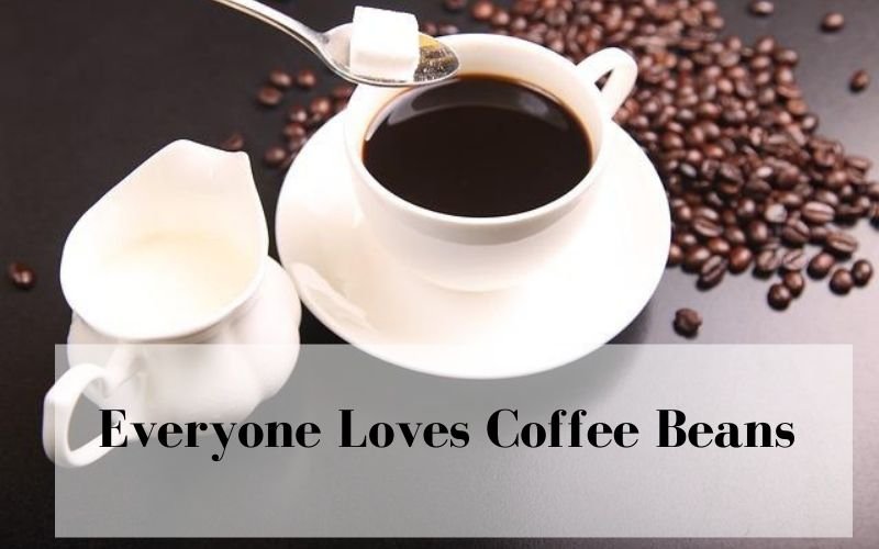 Everyone Loves Coffee Beans Everyone Loves Coffee Beans