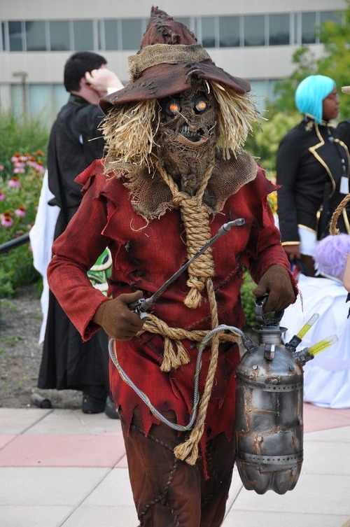 Scarecrow batman costume-poison ivy costume