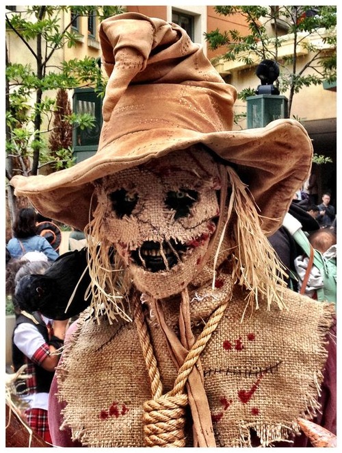 Scarecrow halloween costume-mens scarecrow halloween costume