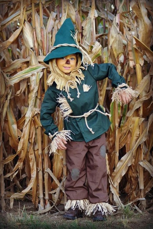 Wizard of oz scarecrow costume-kid wizard of oz scarecrow costume