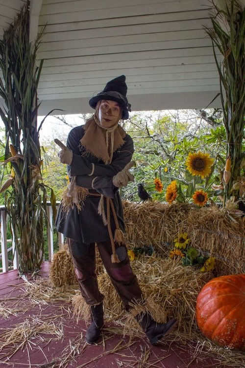 Wizard of oz scarecrow costume-wizard of oz scarecrow costume diy