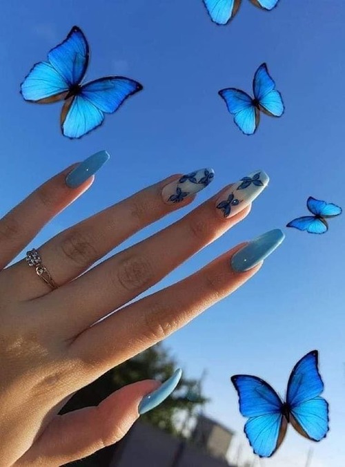 blue nails with butterflies - best blue nails
