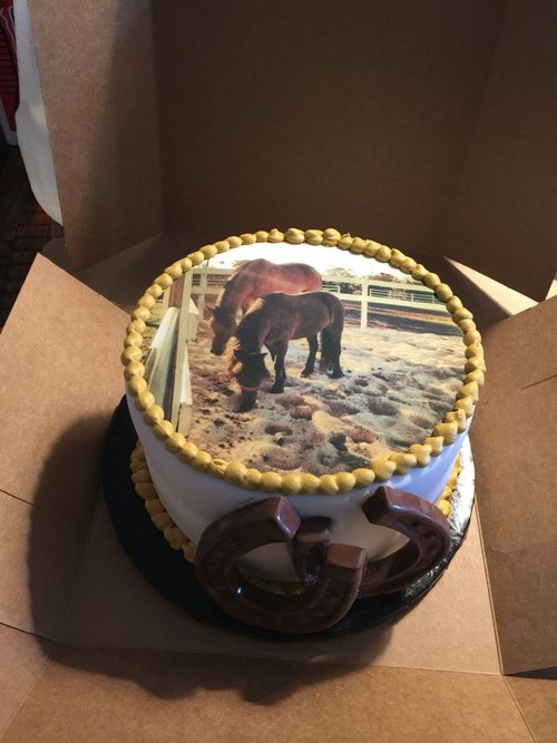 horse themed cakes for adults - horse cake images