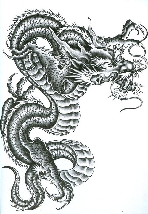 japanese dragon tattoo stencil - japanese dragon tattoo stencil pdf