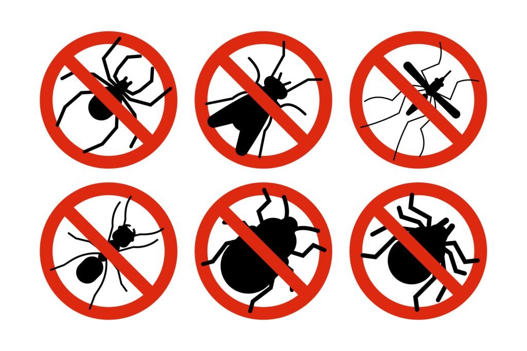 What to Do If You Discover Baby Scorpions in Your Living Space What to Do If You Discover Baby Scorpions in Your Living Space
