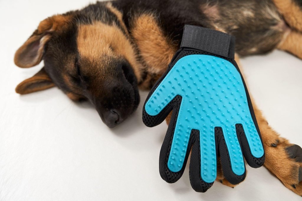 Ultimate Care: Dog Paw Pad Protectors Types for Rough Paws Dog Paw Pad Protectors Types for Rough Paws