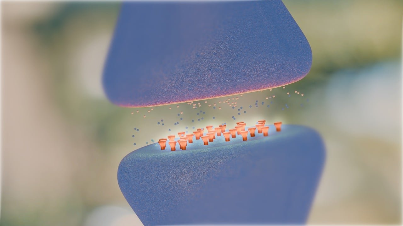 The Role of Neurotransmitters in Emotional Healing Neurotransmitters function