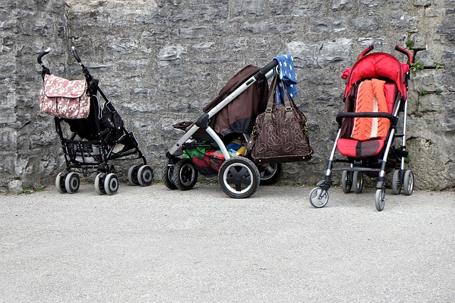 The Ultimate Guide to Choosing the Perfect Baby Stroller Best baby stroller brands