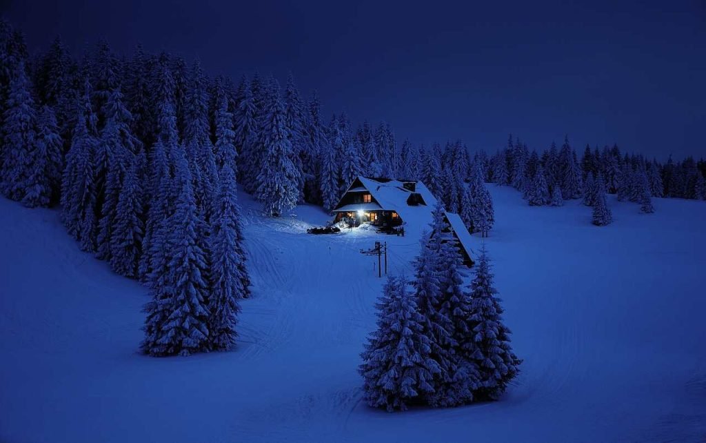 Essential Winter Home Repairs for Tenant Safety: A Complete Guide Homeowner tips for winter