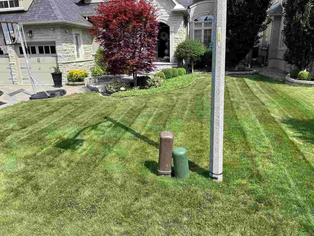 Affordable Grass Cutting