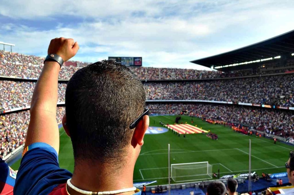 Which Type of a Footy Fan Are You? Football Fan