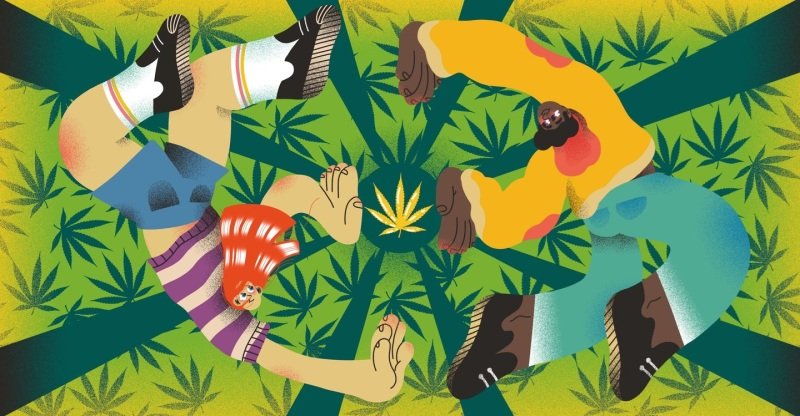 thc guide to use thc