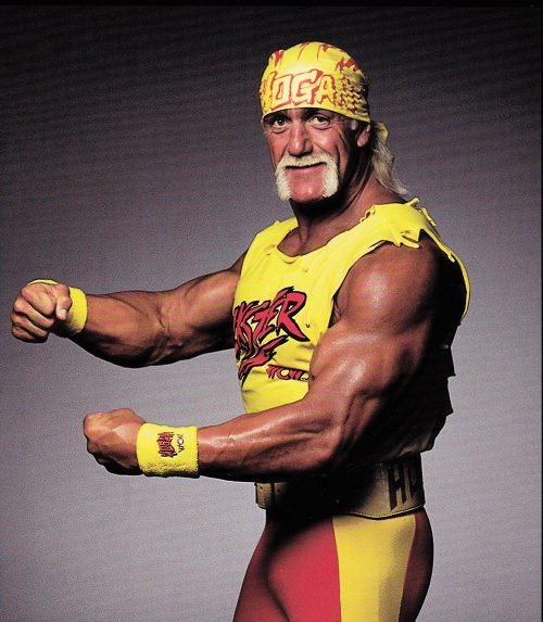 Hulk hogan Wrestling History