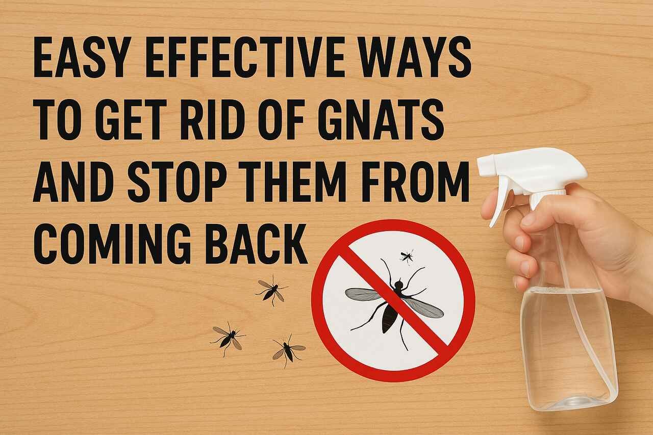 Hand holding spray bottle